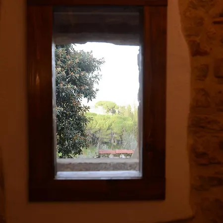 Appartamento Il Nespolo San Gimignano Exterior photo