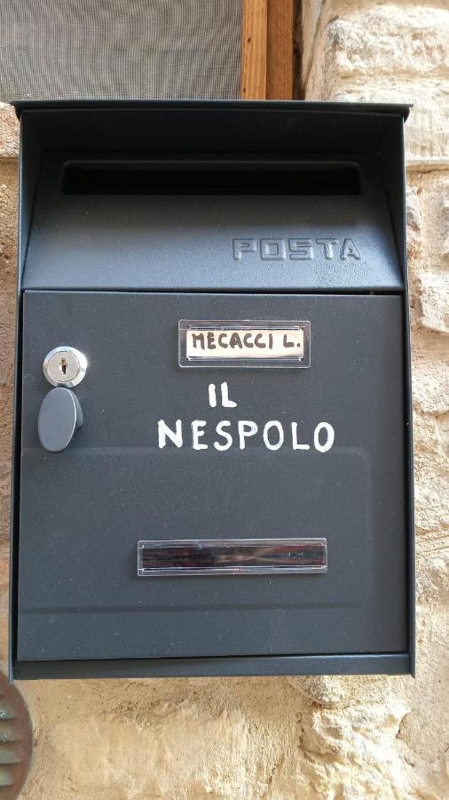 Il Nespolo Appartement *